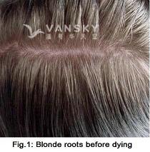 250318111107_Hair-Before Dying-s.jpg